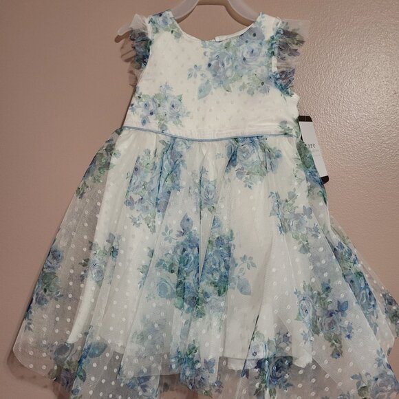 Rare Editions toddler dress size 2T - Picture 5 of 5